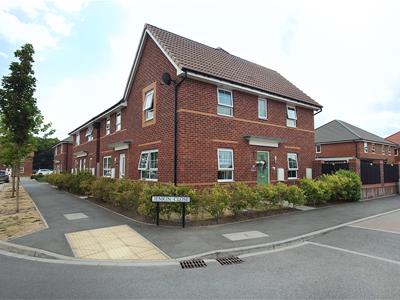 Picture 18